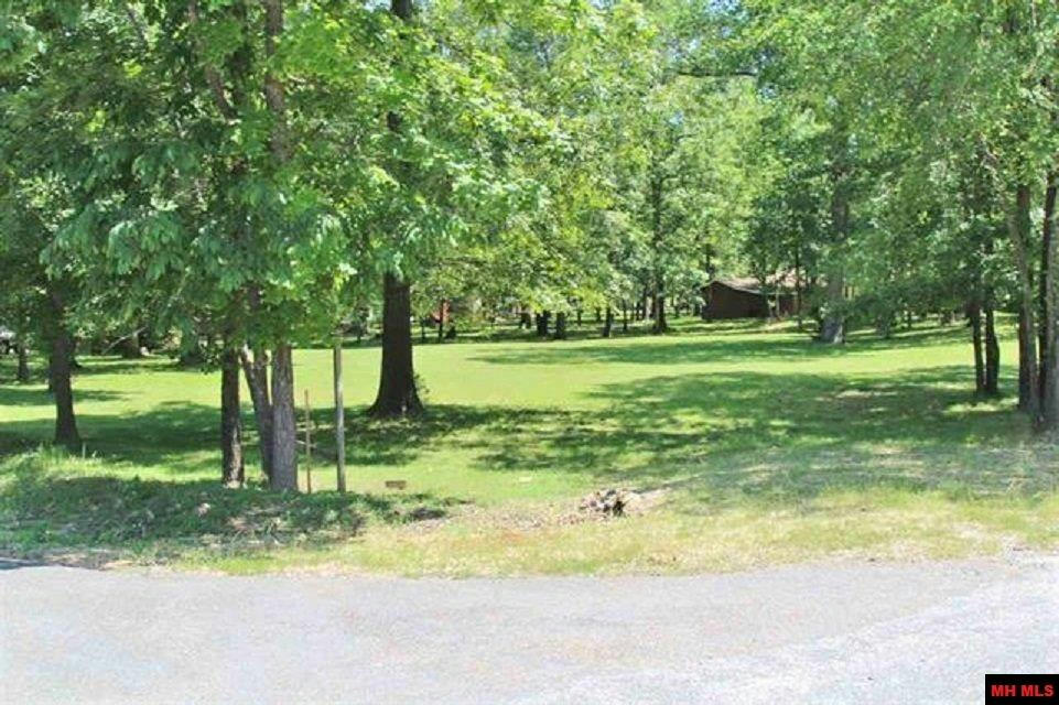 LOTS 49 & 50 LAKESHORE ROAD, BULL SHOALS, AR 72619, photo 1 of 6