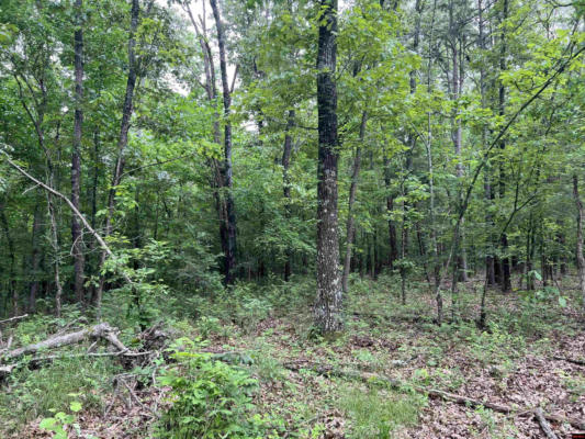 TRACTS W AND X MEADOW CREEK DRIVE, HARRISON, AR 72601, photo 3 of 9