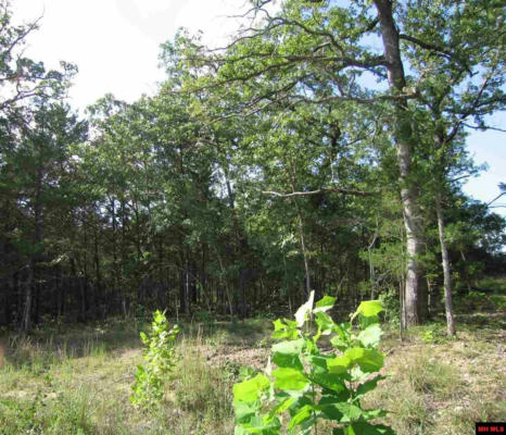 LOT 15 SARGENT PEPPER DRIVE, FLIPPIN, AR 72634, photo 2 of 2