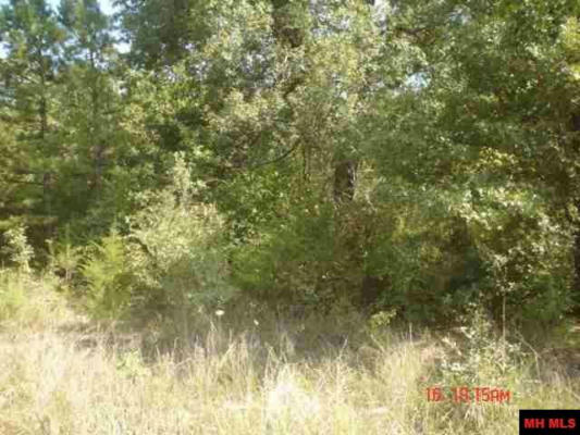 LOT 24 PINE VALLEY DRIVE, FLIPPIN, AR 72634, photo 2 of 4