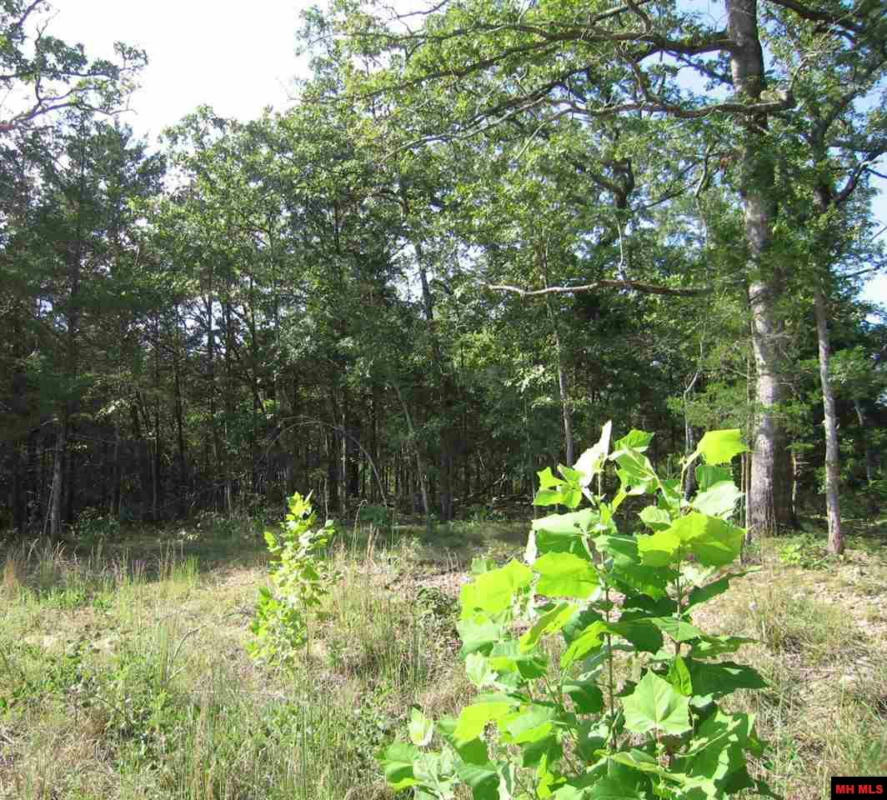 LOT 15 SARGENT PEPPER DRIVE, FLIPPIN, AR 72634, photo 1 of 2