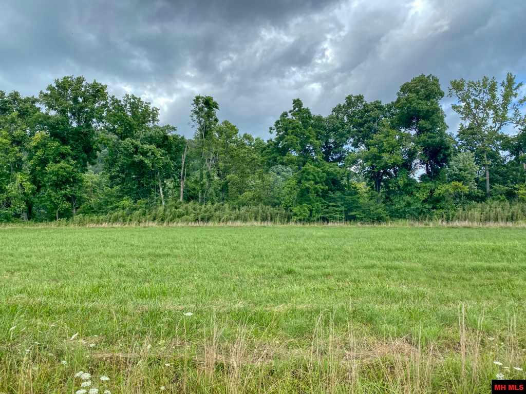 LOT 4 TROUT WATER DRIVE, NORFORK, AR 72658, photo 1 of 15