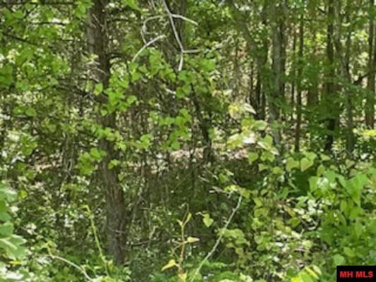 LOT 24 PINE VALLEY DRIVE, FLIPPIN, AR 72634, photo 4 of 4