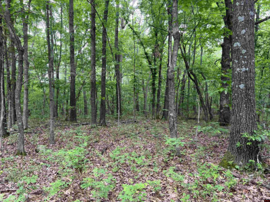 TRACTS W AND X MEADOW CREEK DRIVE, HARRISON, AR 72601 - Image 1