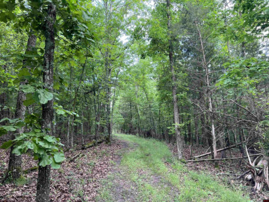 TRACTS S AND S1 MEADOW CREEK DRIVE, HARRISON, AR 72601 - Image 1