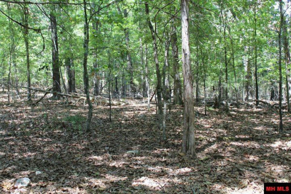 LOT 17 LAKEVIEW COURT, PROTEM, MO 65733, photo 4 of 9