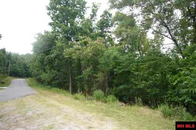 LOTS 17 & 161 COUNTRY CLUB DRIVE, BULL SHOALS, AR 72619, photo 1 of 7