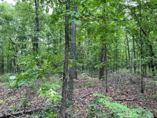 TRACTS W AND X MEADOW CREEK DRIVE, HARRISON, AR 72601, photo 2 of 9