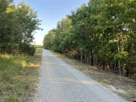 LOT 43 AIRLINE DRIVE, PROTEM, MO 65733 - Image 1
