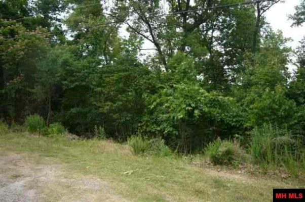LOTS 17 & 161 COUNTRY CLUB DRIVE, BULL SHOALS, AR 72619, photo 4 of 7